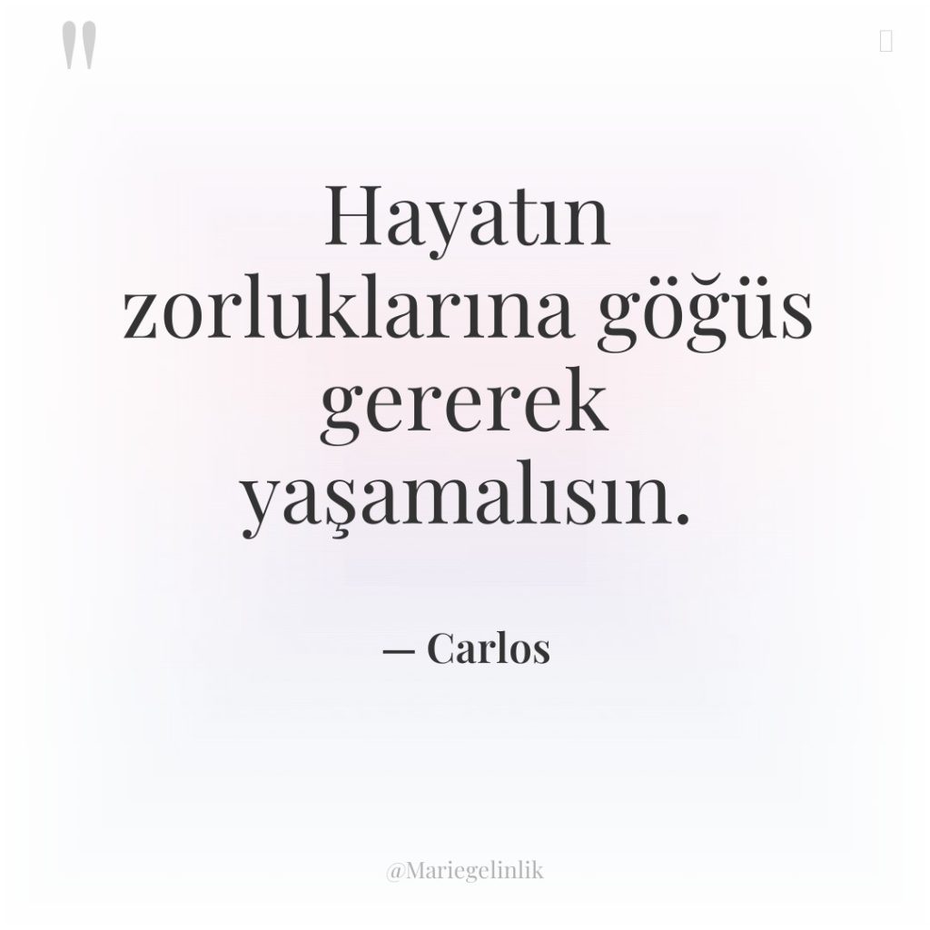 Hayatın zorluklarına göğüs gererek yaşamalısın.