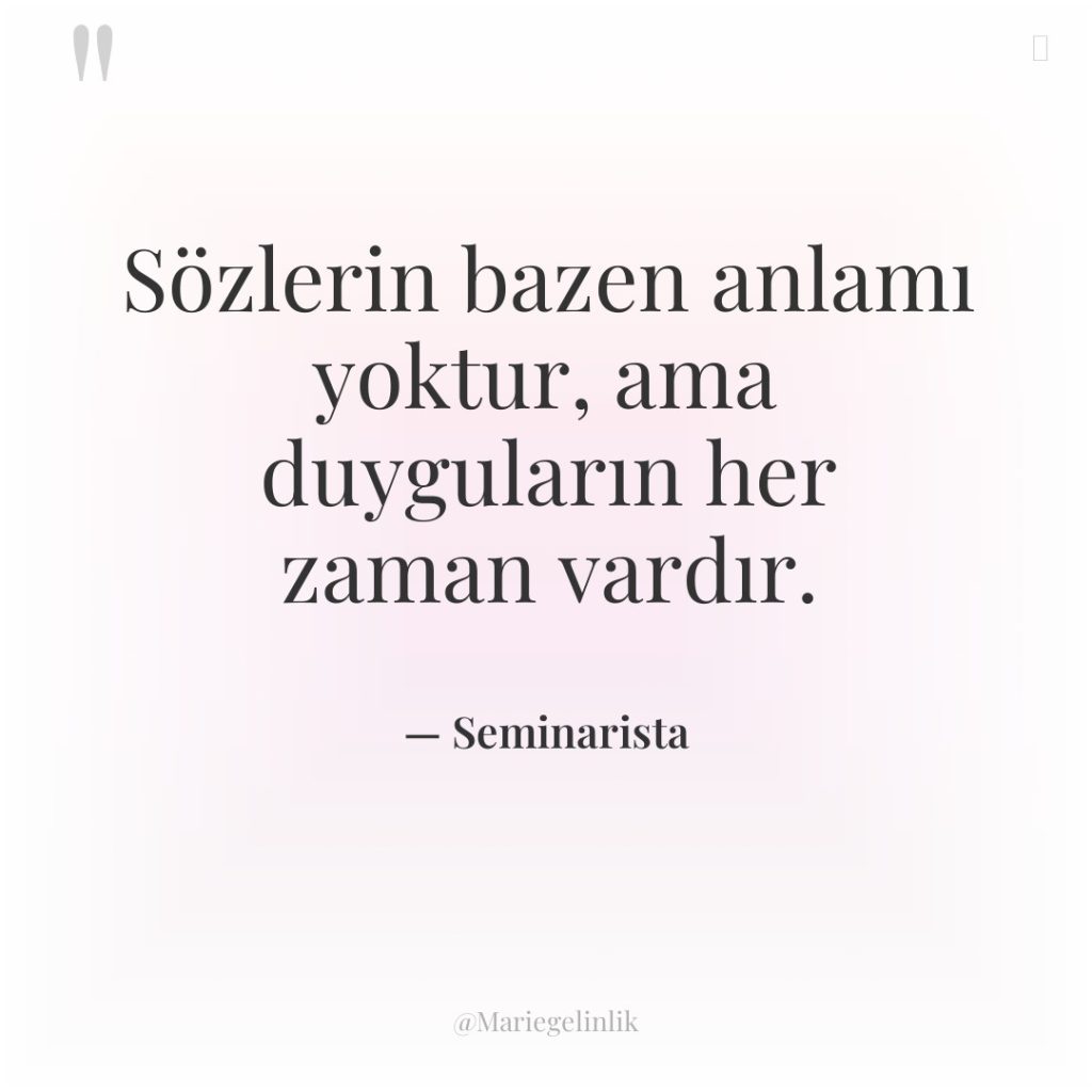 Sözlerin bazen anlamı yoktur, ama duyguların her zaman vardır.