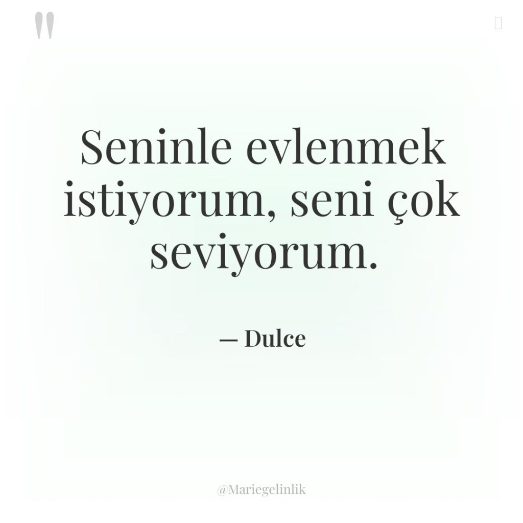 Seninle evlenmek istiyorum, seni çok seviyorum.
