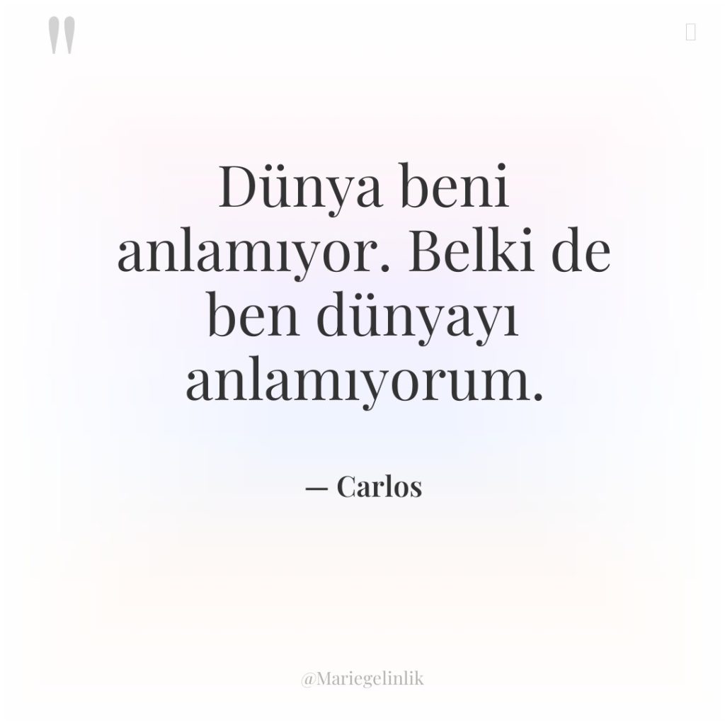 Dünya beni anlamıyor. Belki de ben dünyayı anlamıyorum.