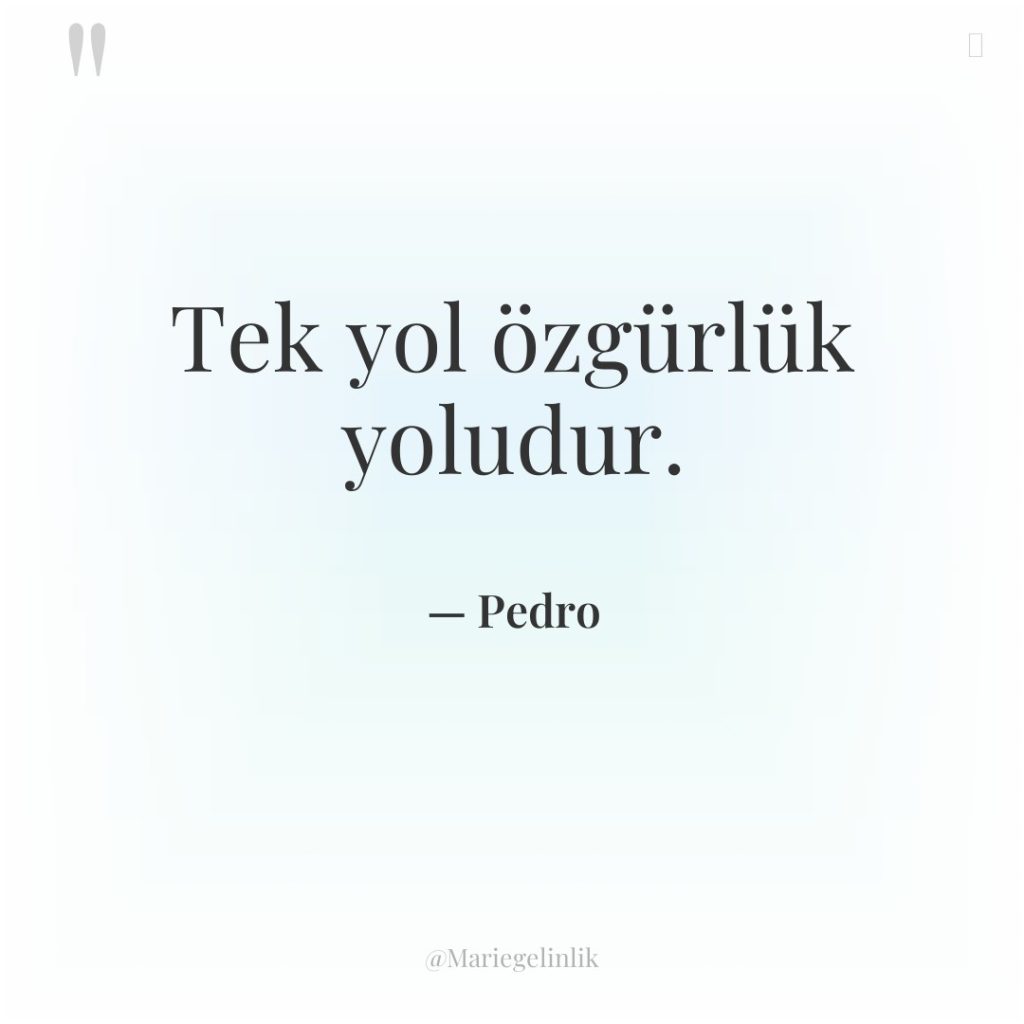 Tek yol özgürlük yoludur.