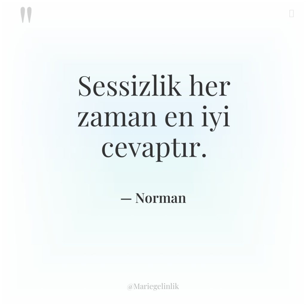 Sessizlik her zaman en iyi cevaptır.