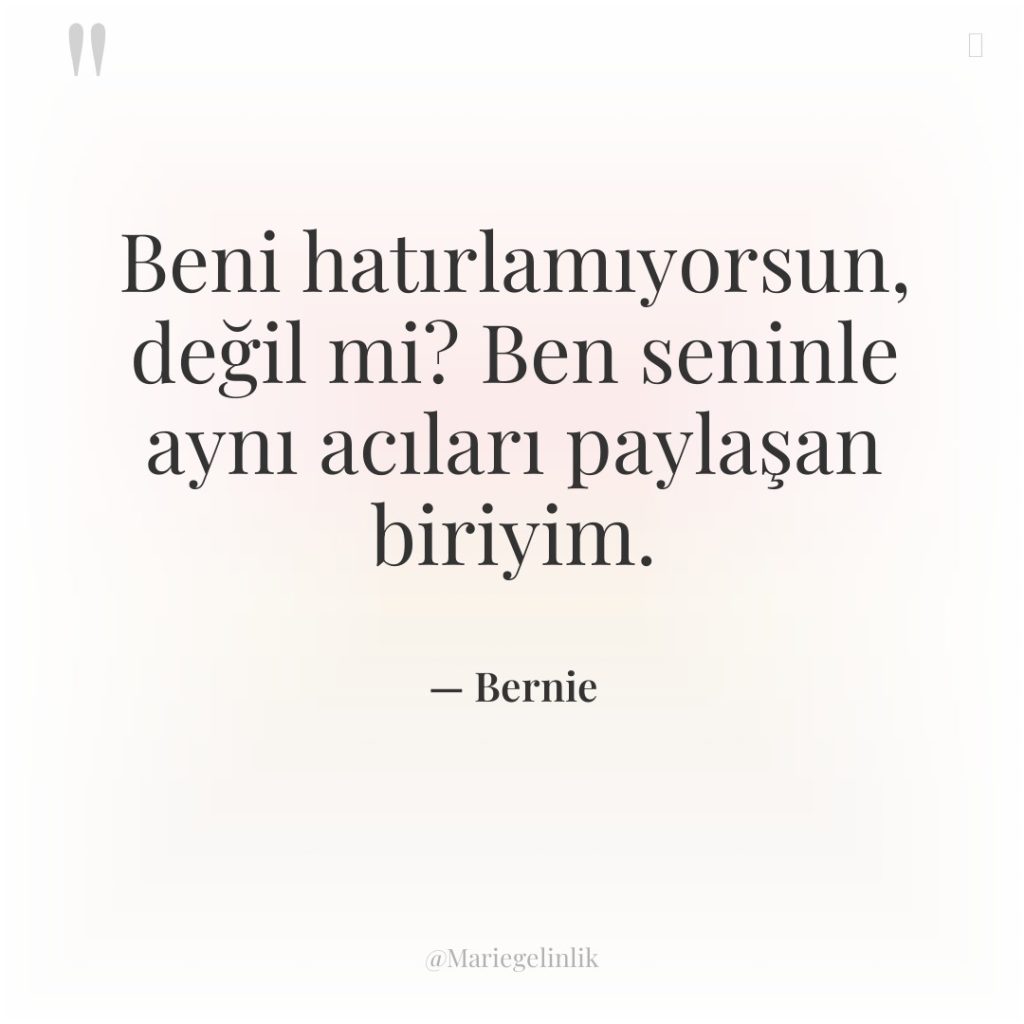 Beni hatırlamıyorsun, değil mi? Ben seninle aynı acıları paylaşan biriyim.
