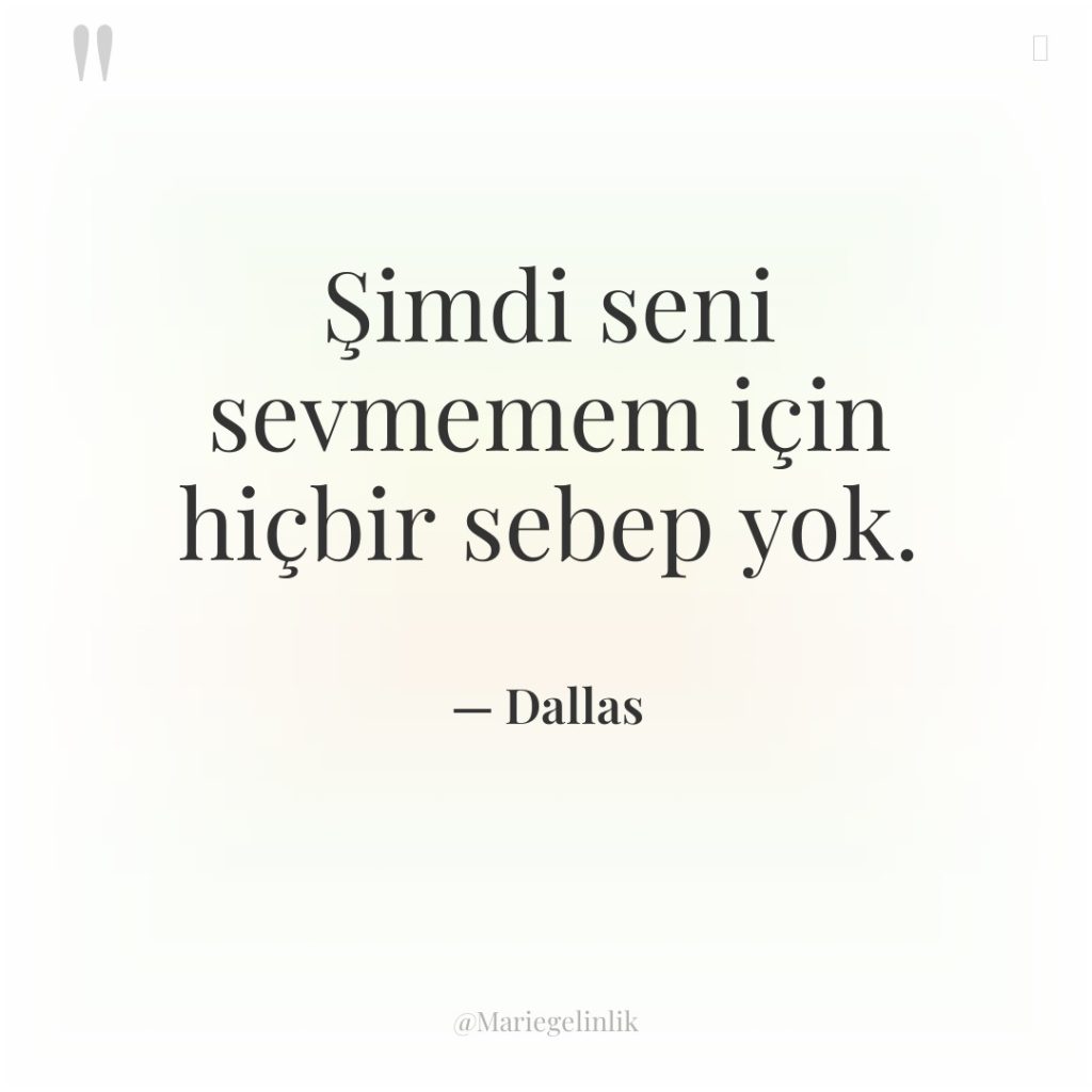 Şimdi seni sevmemem için hiçbir sebep yok.
