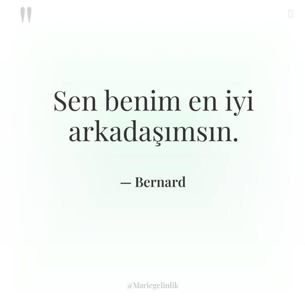 Sen benim en iyi arkadaşımsın.