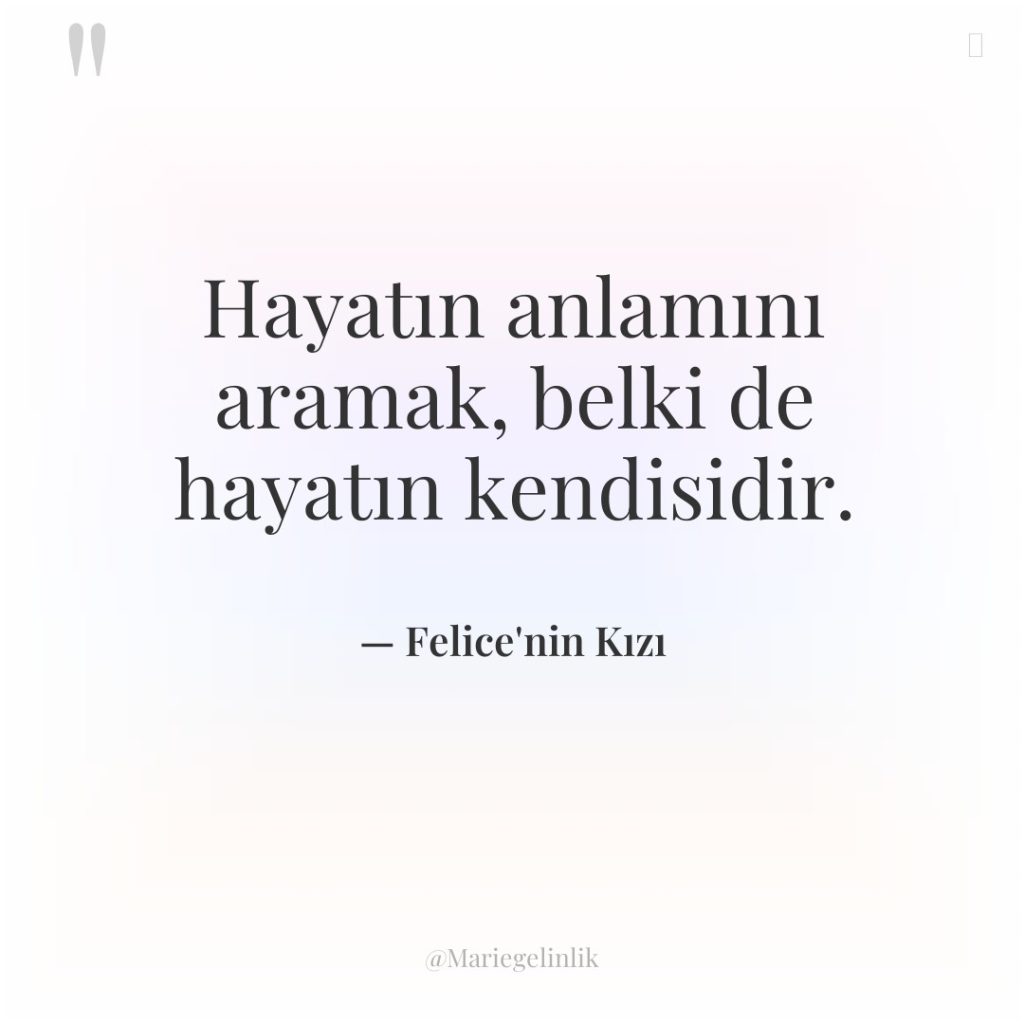 Hayatın anlamını aramak, belki de hayatın kendisidir.