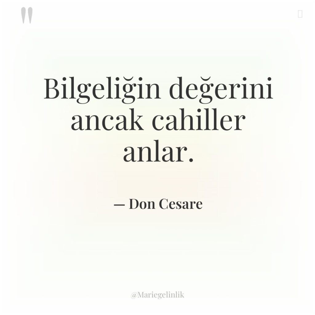 Bilgeliğin değerini ancak cahiller anlar.