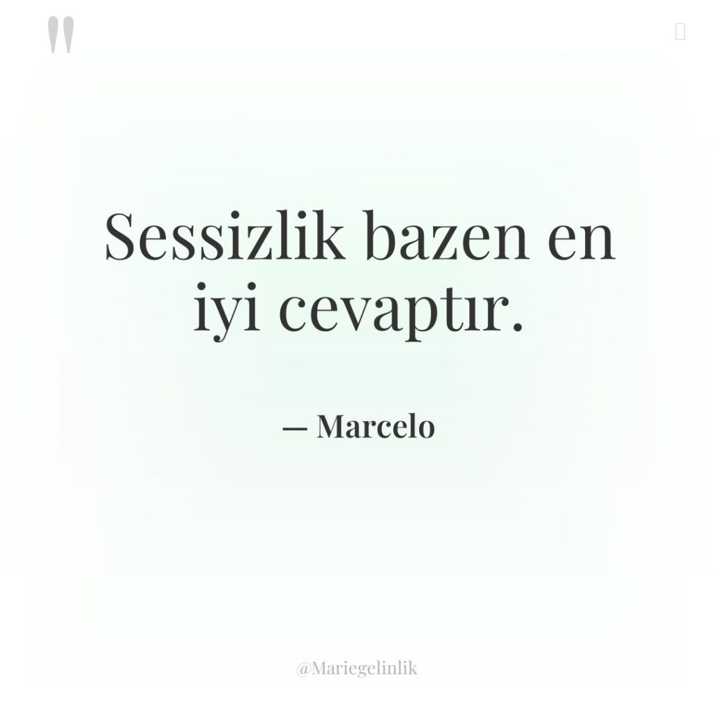 Sessizlik bazen en iyi cevaptır.