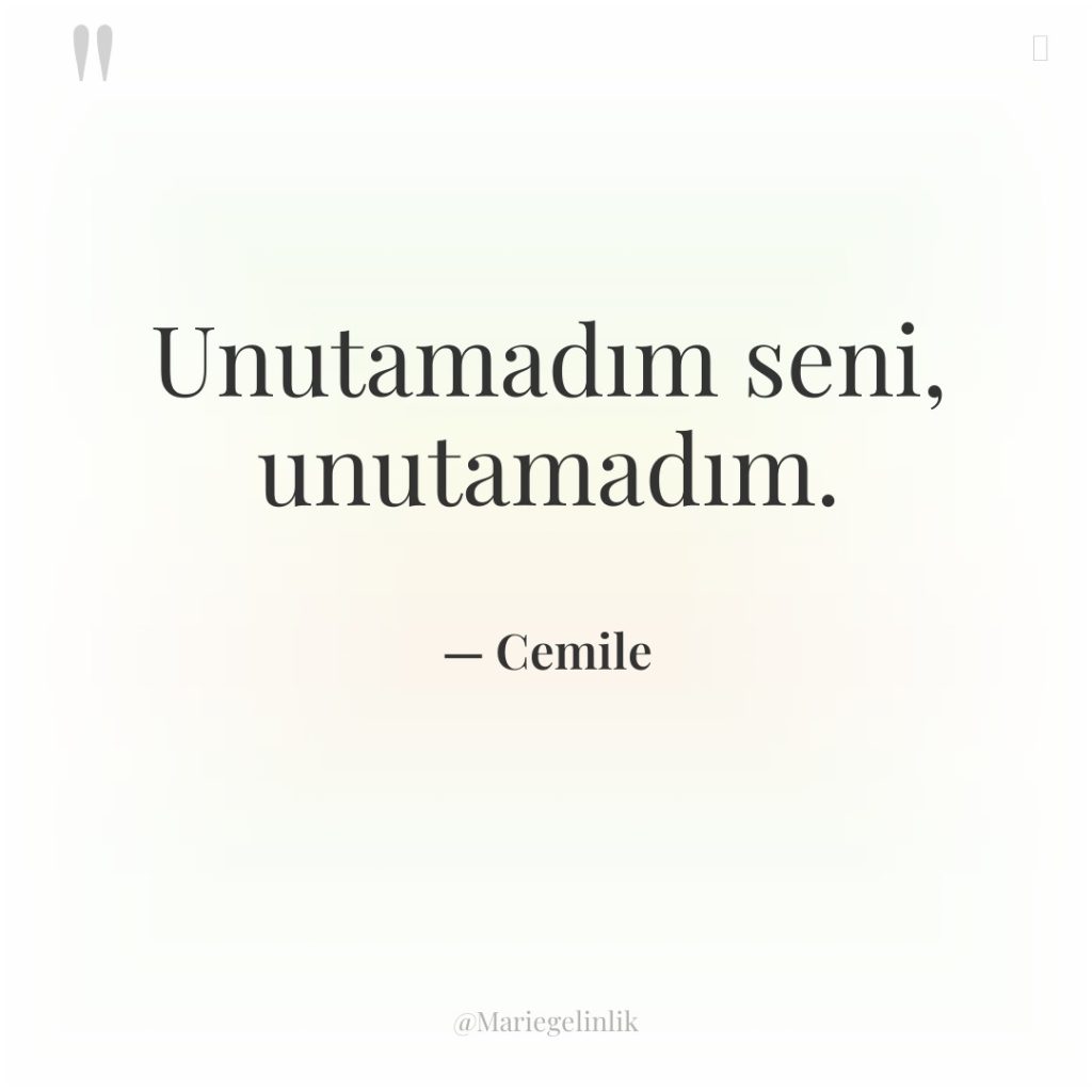 Unutamadım seni, unutamadım.