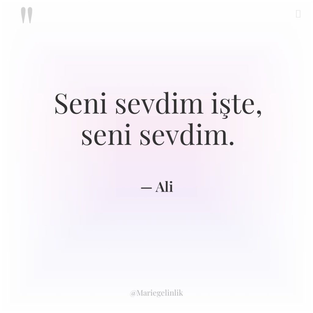Seni sevdim işte, seni sevdim.