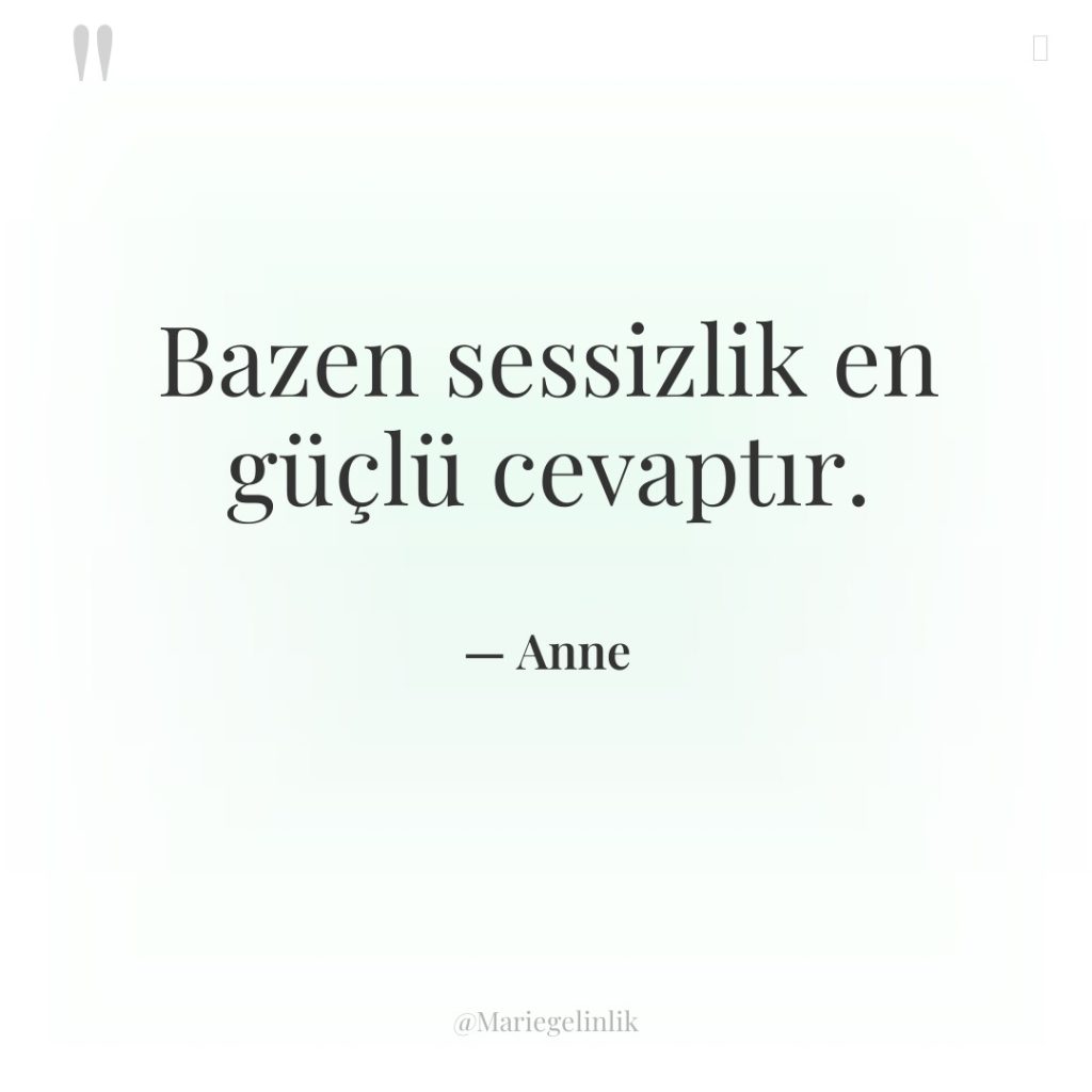 Bazen sessizlik en güçlü cevaptır.