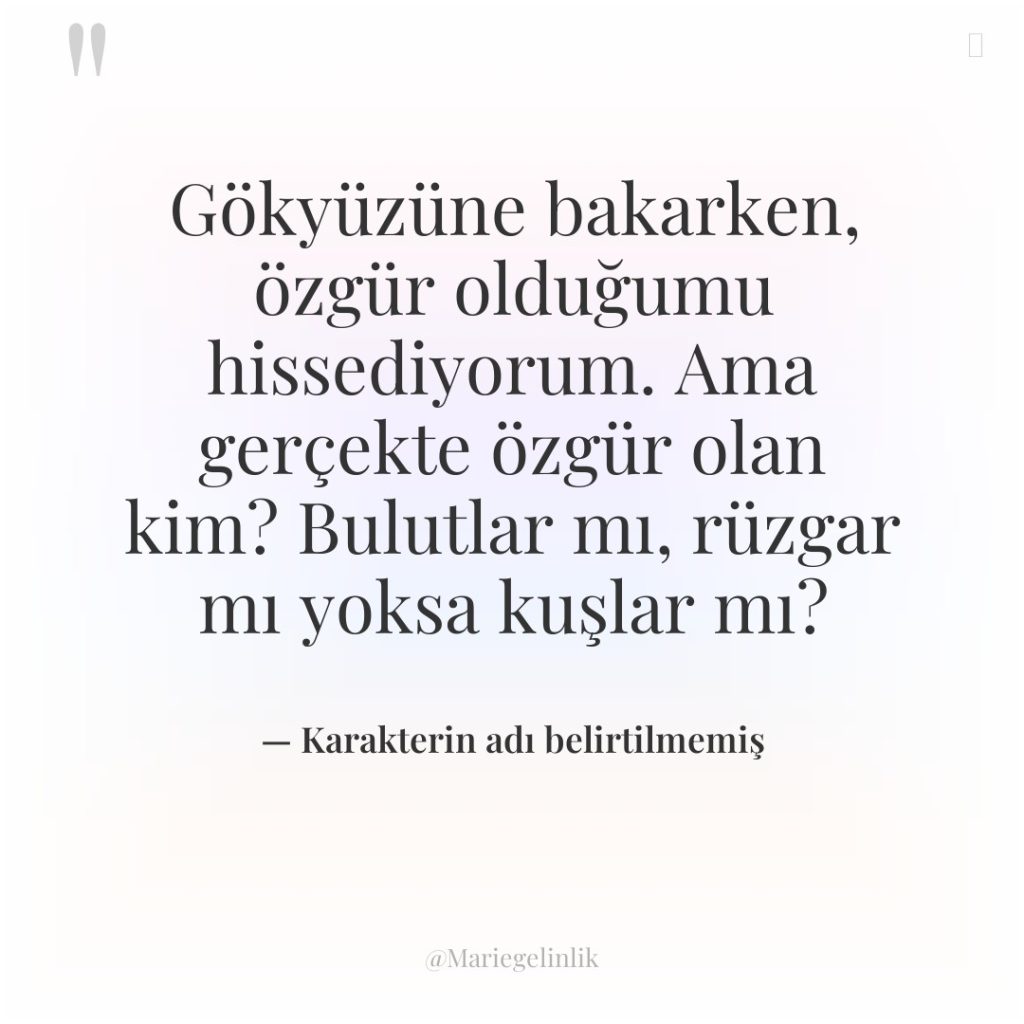Gökyüzüne bakarken, özgür olduğumu hissediyorum. Ama gerçekte özgür olan kim?…