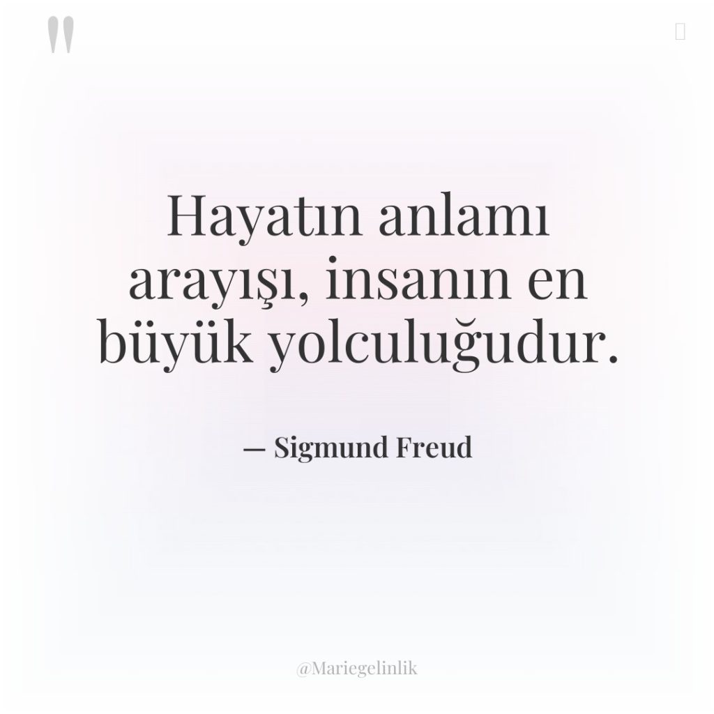 Hayatın anlamı arayışı, insanın en büyük yolculuğudur.