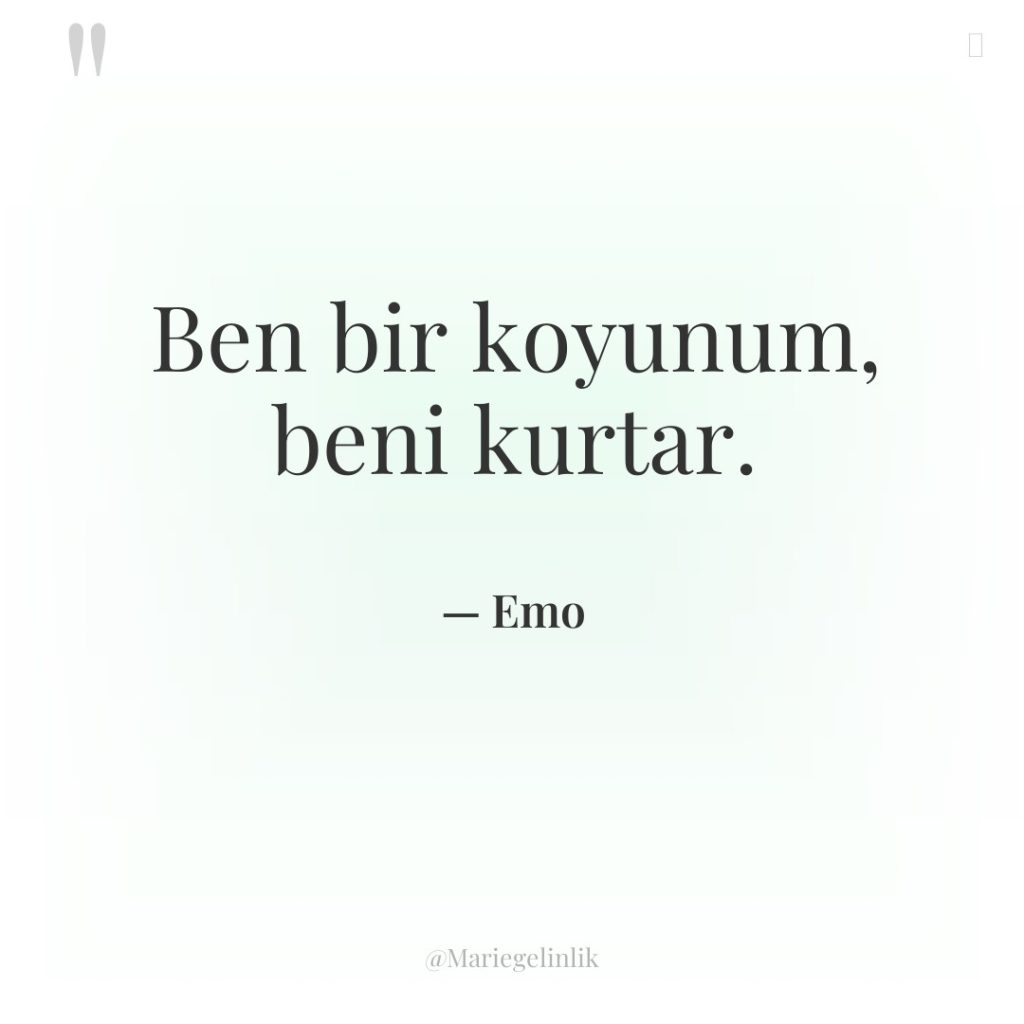 Ben bir koyunum, beni kurtar.