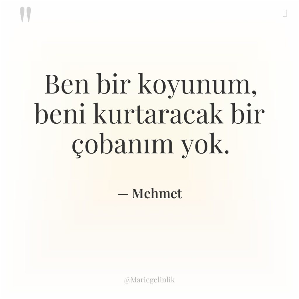 Ben bir koyunum, beni kurtaracak bir çobanım yok.