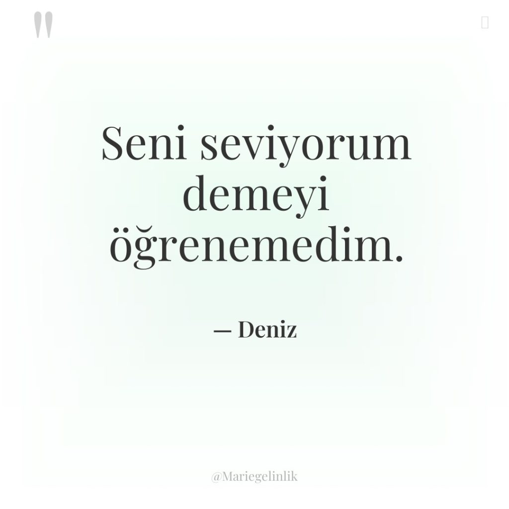 Seni seviyorum demeyi öğrenemedim.