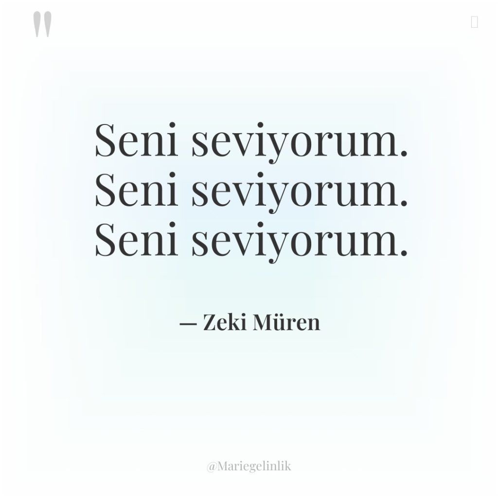 Seni seviyorum. Seni seviyorum. Seni seviyorum.