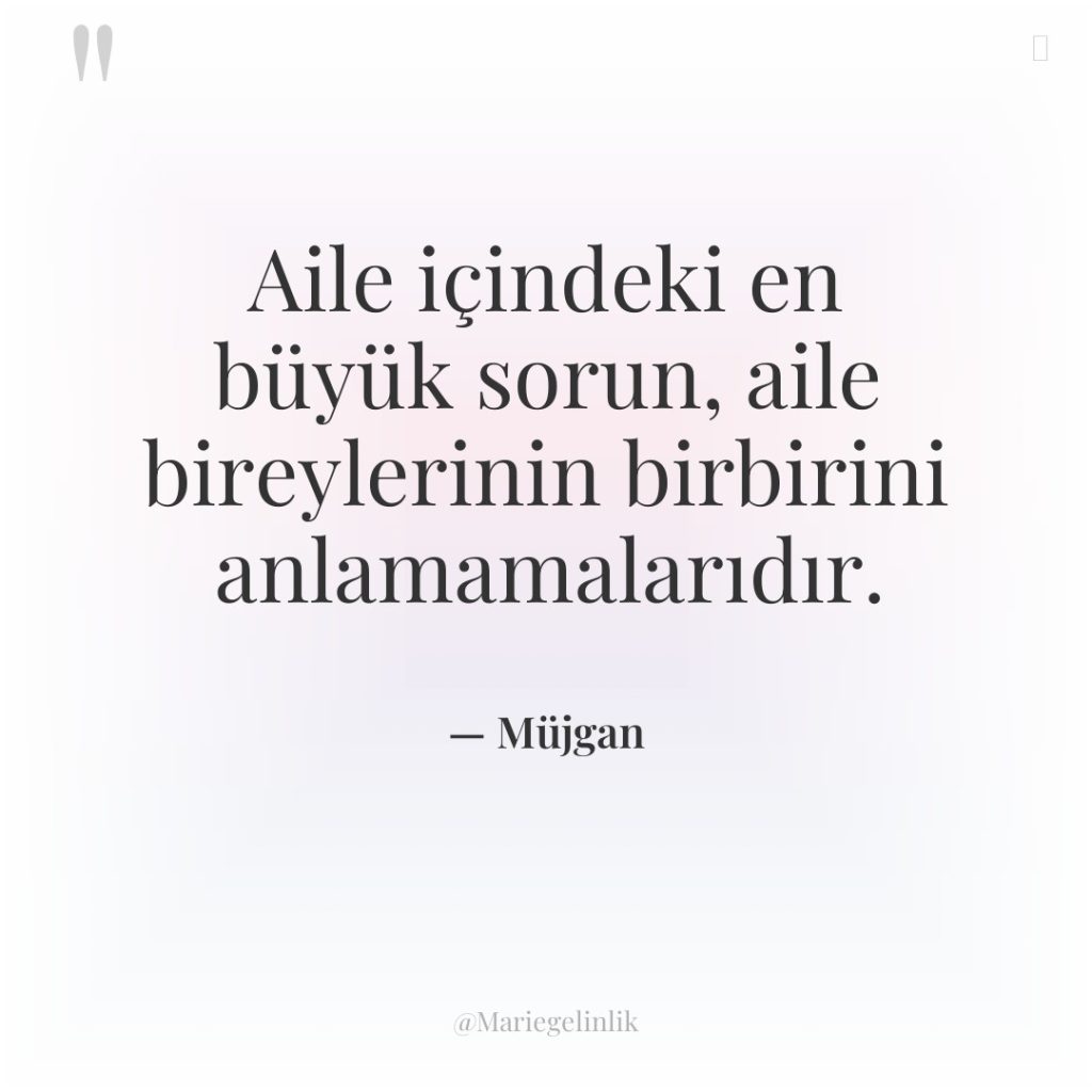 Aile içindeki en büyük sorun, aile bireylerinin birbirini anlamamalarıdır.