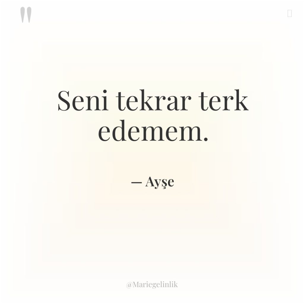 Seni tekrar terk edemem.