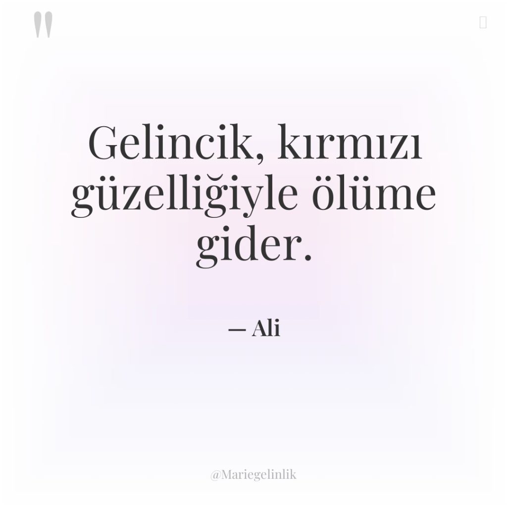 Gelincik, kırmızı güzelliğiyle ölüme gider.