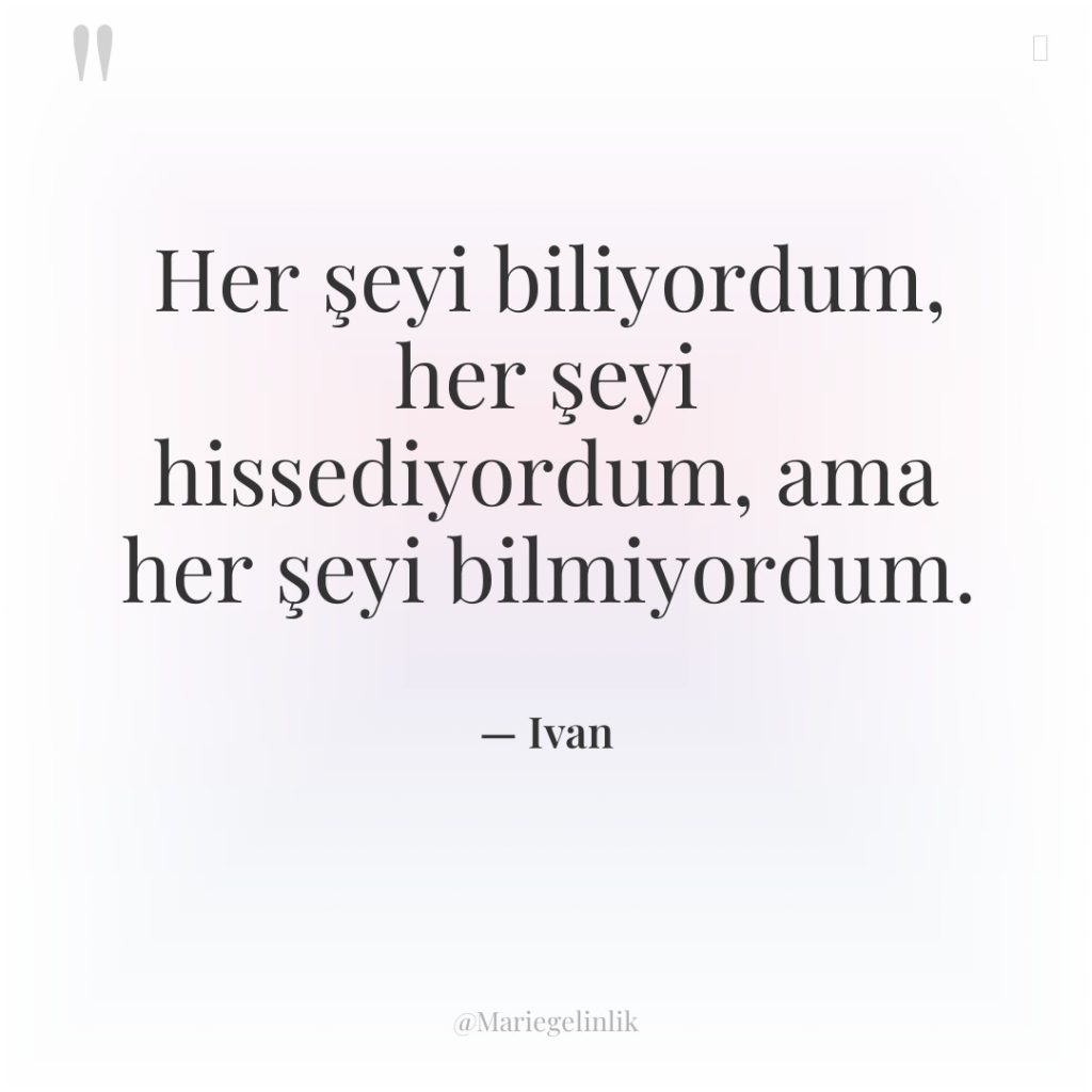 Her şeyi biliyordum, her şeyi hissediyordum, ama her şeyi bilmiyordum.