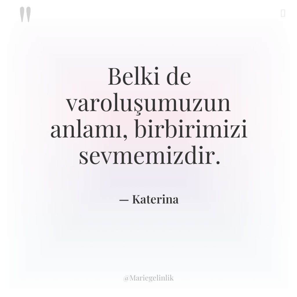 Belki de varoluşumuzun anlamı, birbirimizi sevmemizdir.