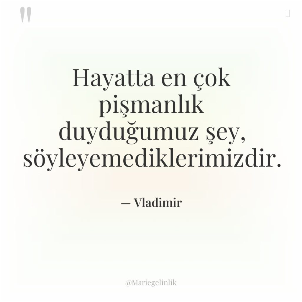 Hayatta en çok pişmanlık duyduğumuz şey, söyleyemediklerimizdir.