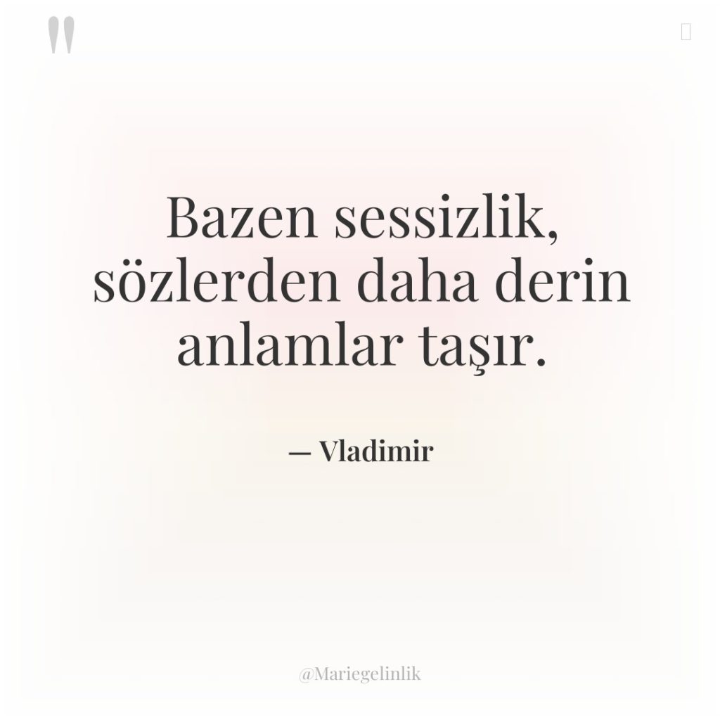 Bazen sessizlik, sözlerden daha derin anlamlar taşır.