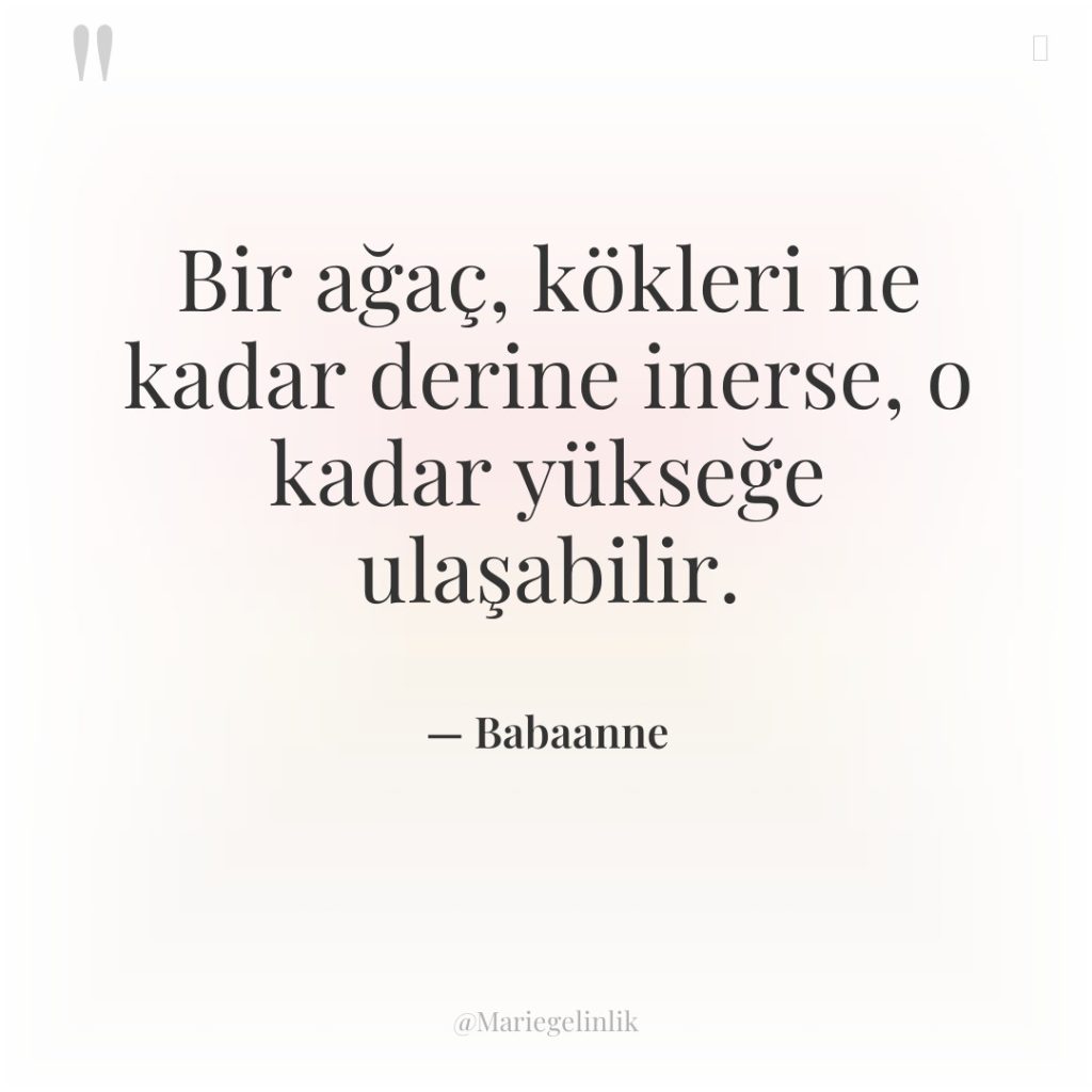 Bir ağaç, kökleri ne kadar derine inerse, o kadar yükseğe…