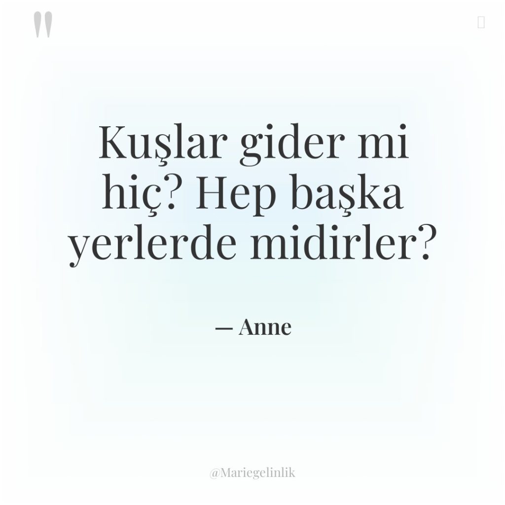 Kuşlar gider mi hiç? Hep başka yerlerde midirler?