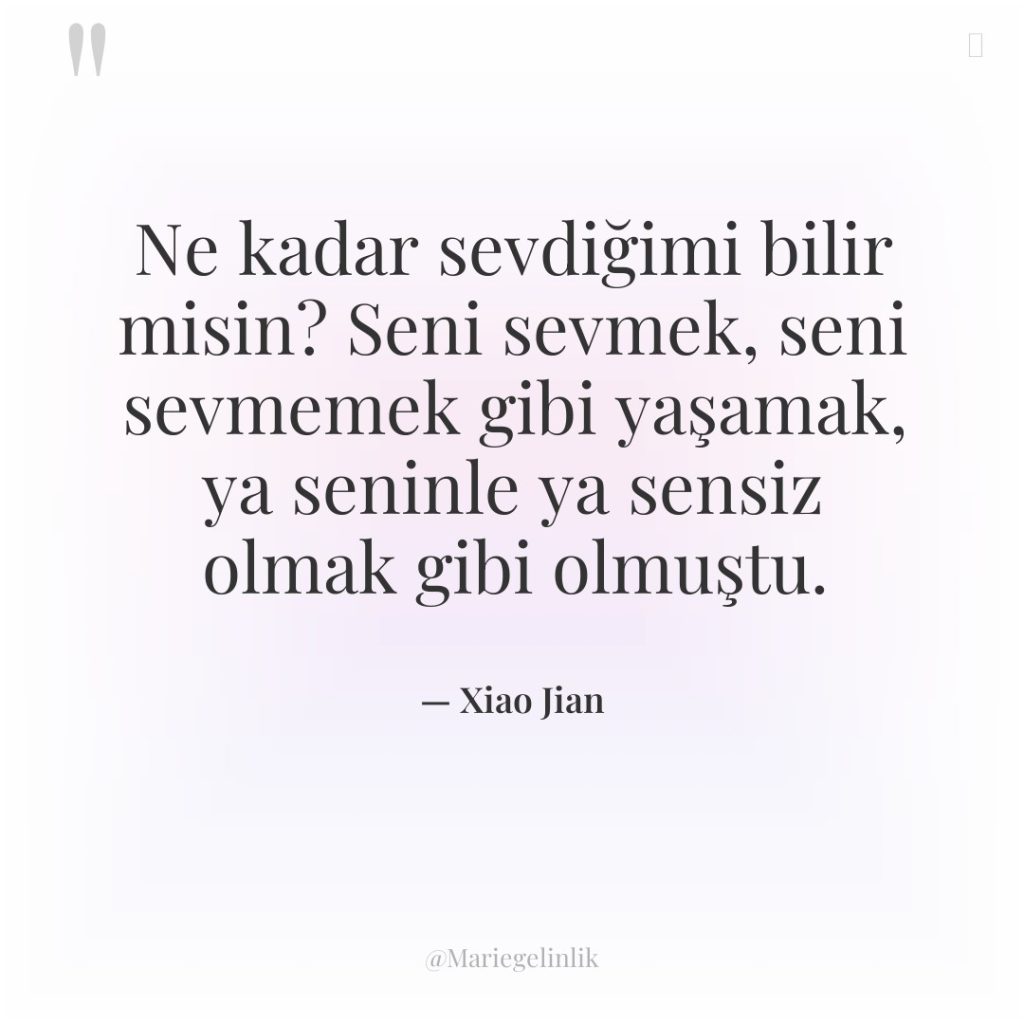 Ne kadar sevdiğimi bilir misin? Seni sevmek, seni sevmemek gibi…