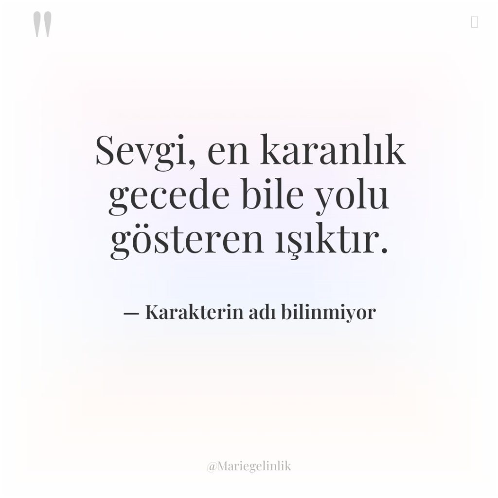 Sevgi, en karanlık gecede bile yolu gösteren ışıktır.