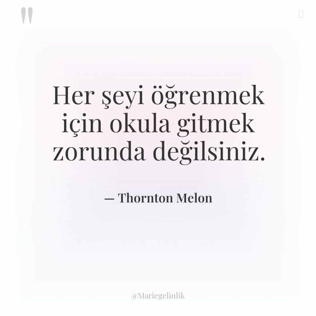 Her şeyi öğrenmek için okula gitmek zorunda değilsiniz.