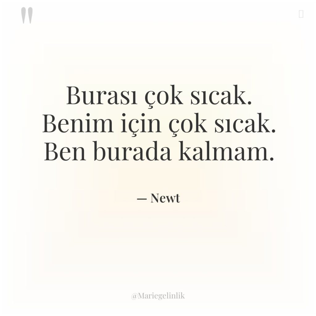 Burası çok sıcak. Benim için çok sıcak. Ben burada kalmam.