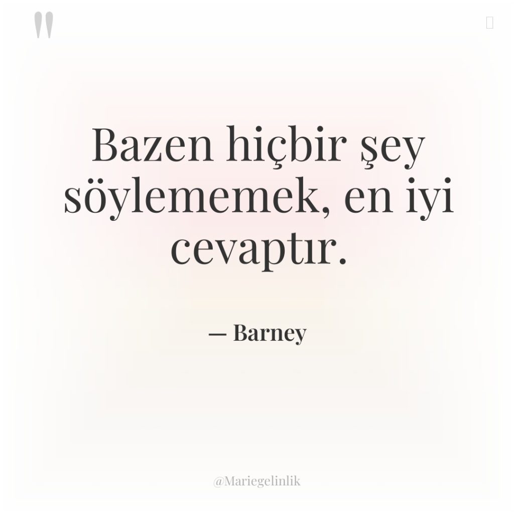 Bazen hiçbir şey söylememek, en iyi cevaptır.