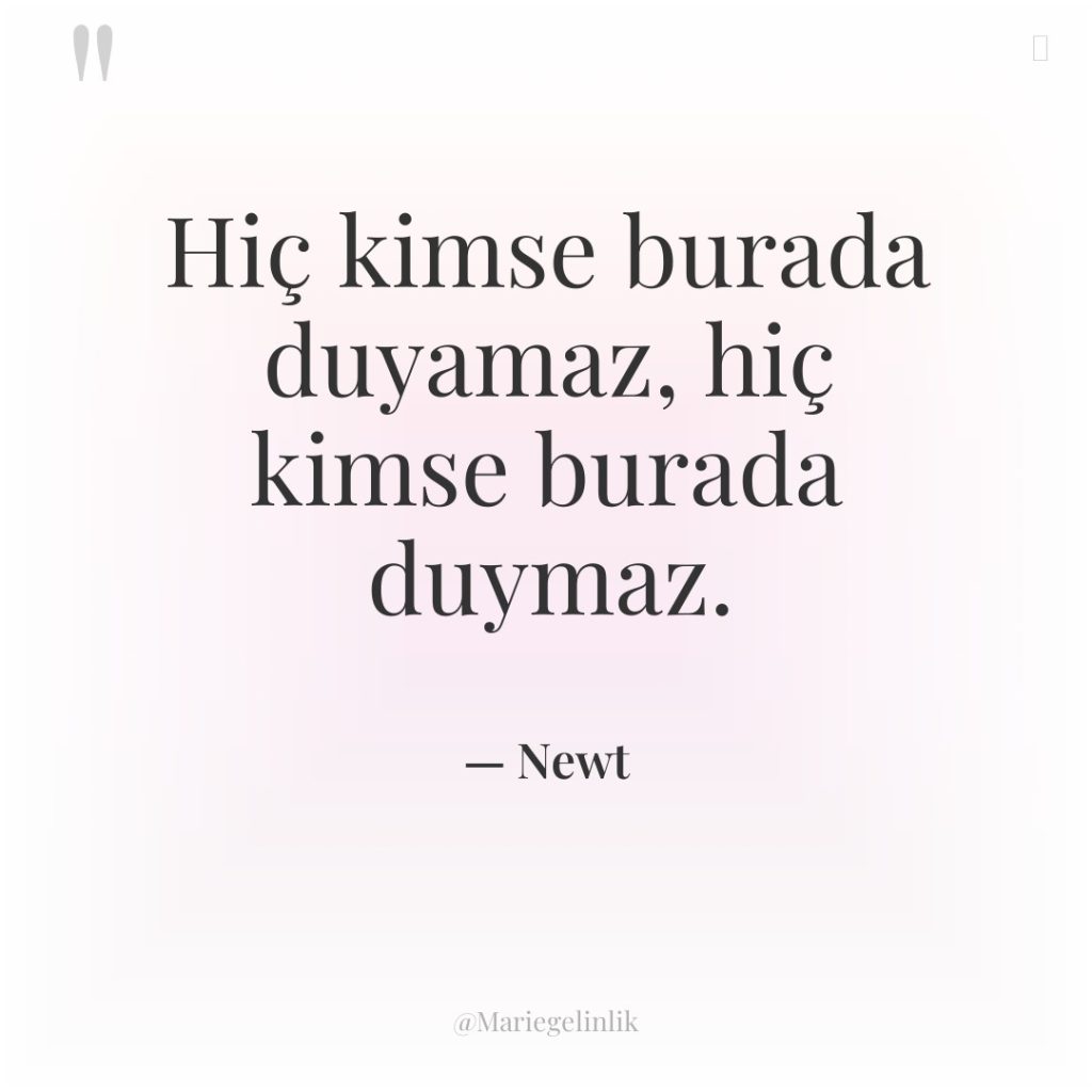 Hiç kimse burada duyamaz, hiç kimse burada duymaz.