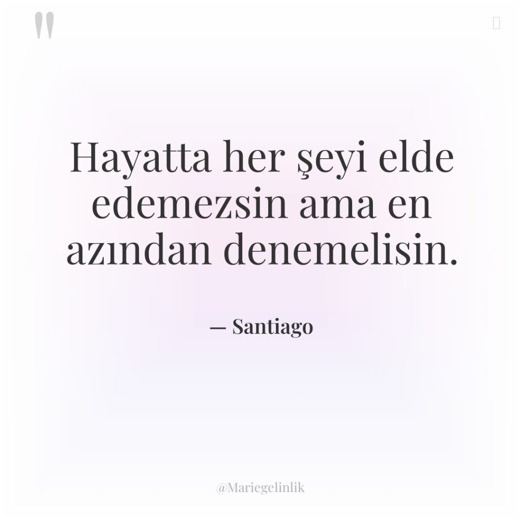 Hayatta her şeyi elde edemezsin ama en azından denemelisin.