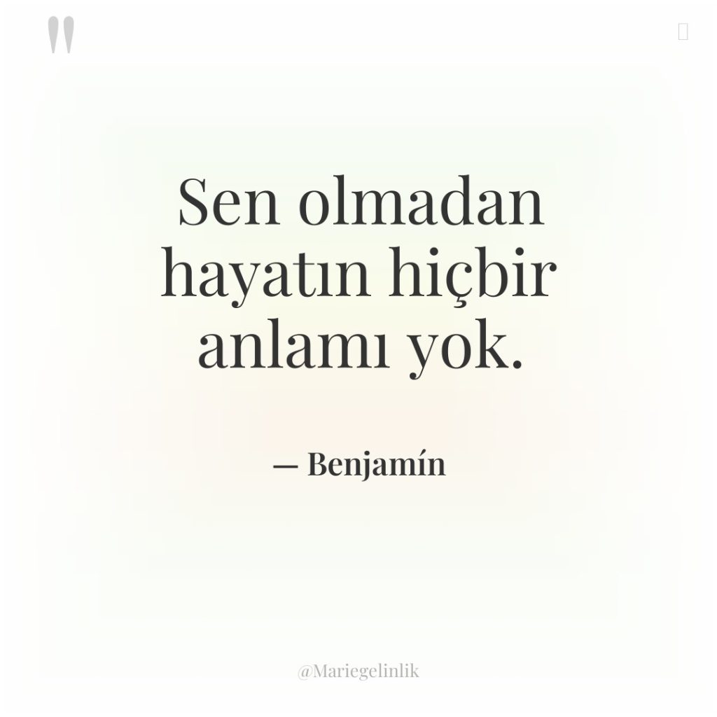 Sen olmadan hayatın hiçbir anlamı yok.