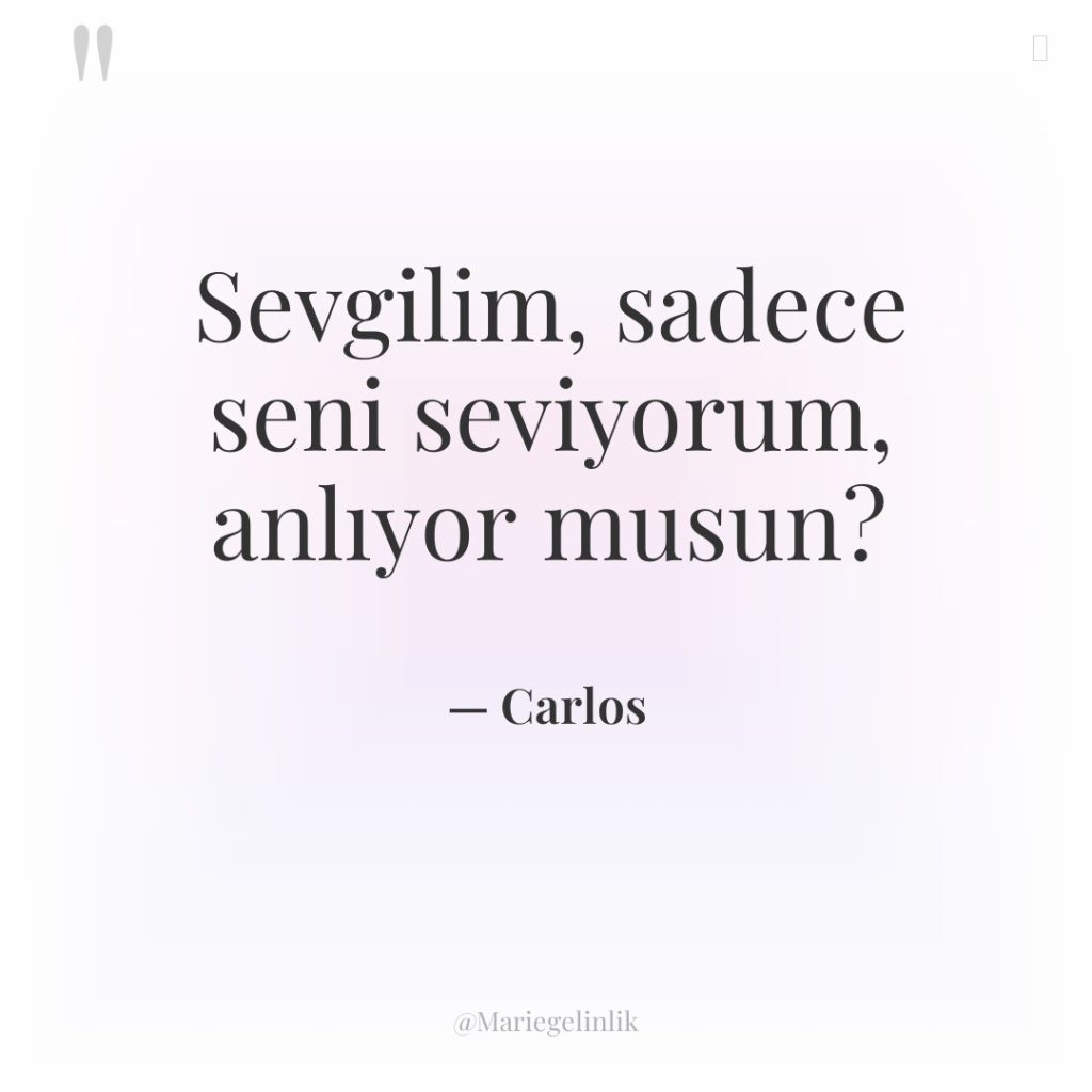 Sevgilim, sadece seni seviyorum, anlıyor musun?