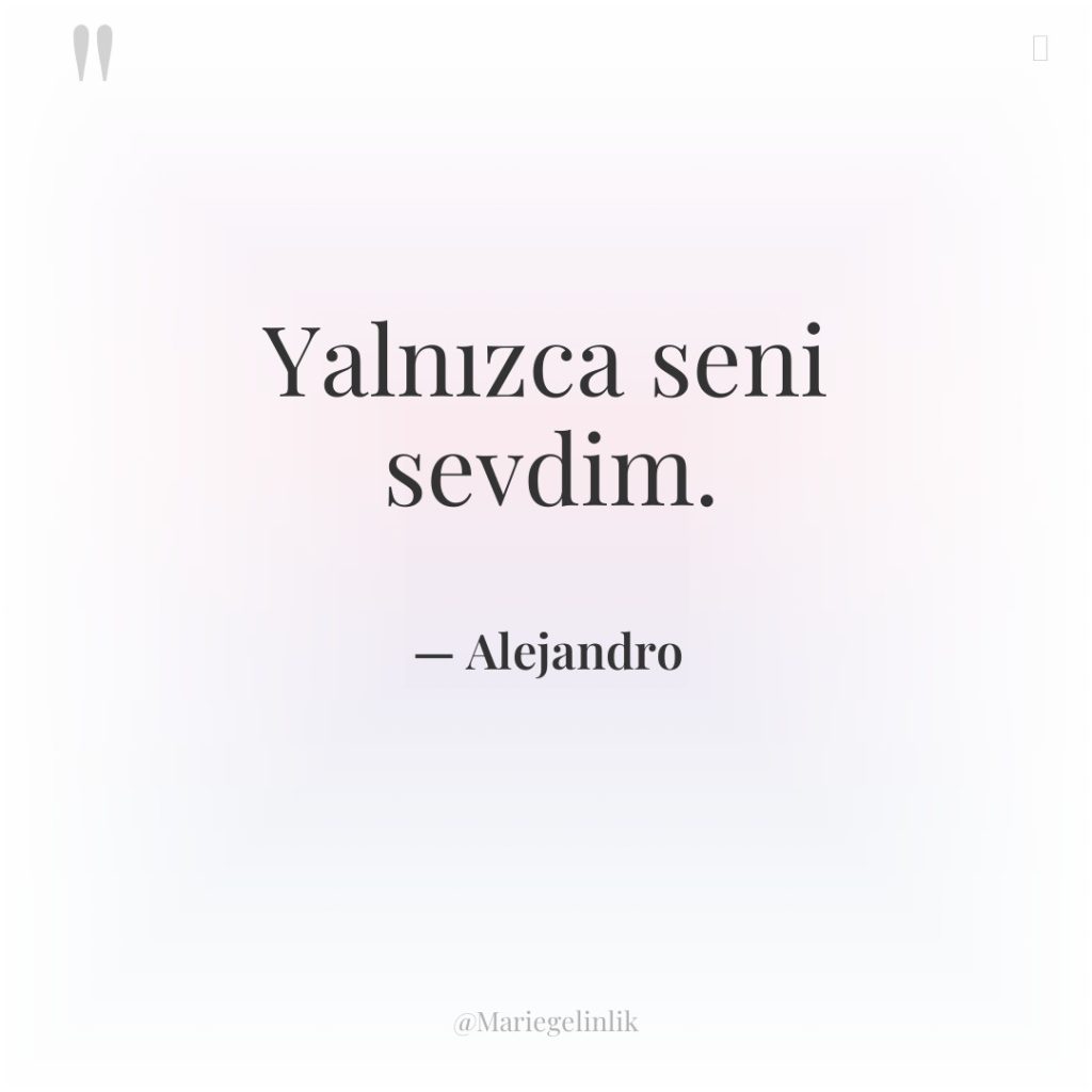 Yalnızca seni sevdim.