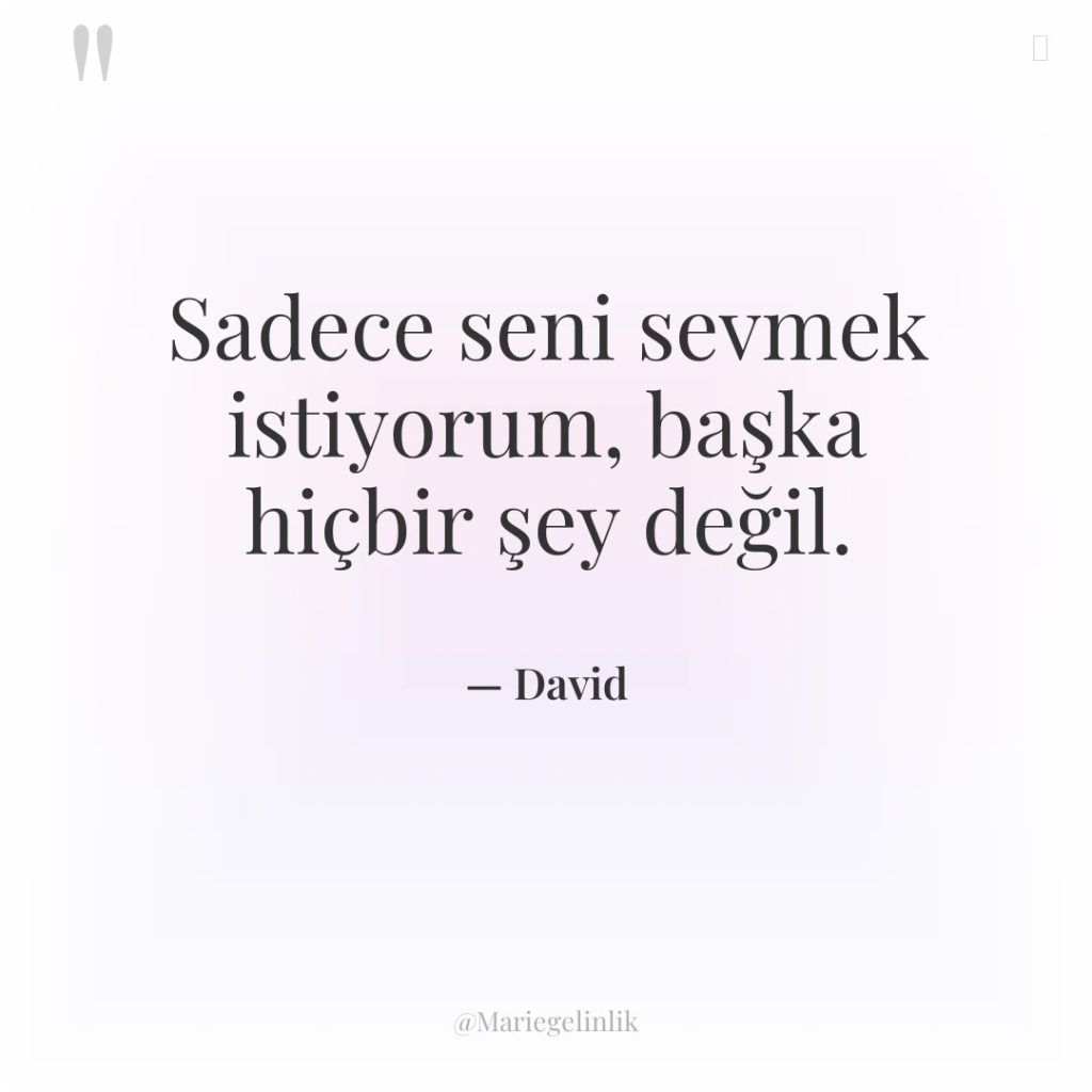 Sadece seni sevmek istiyorum, başka hiçbir şey değil.