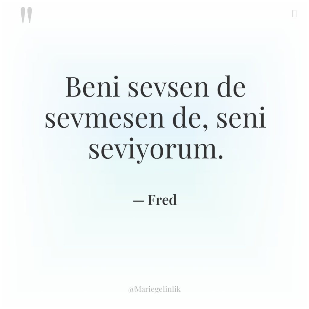 Beni sevsen de sevmesen de, seni seviyorum.