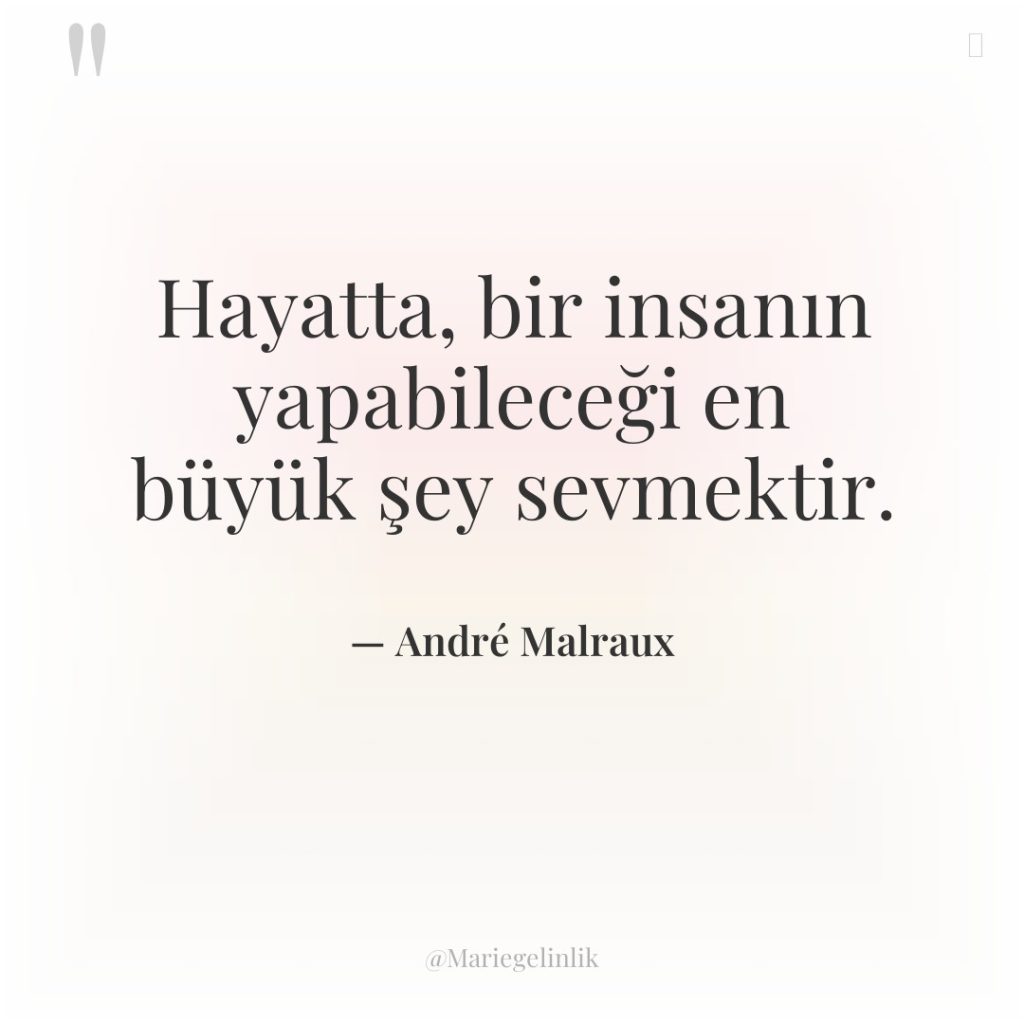 Hayatta, bir insanın yapabileceği en büyük şey sevmektir.