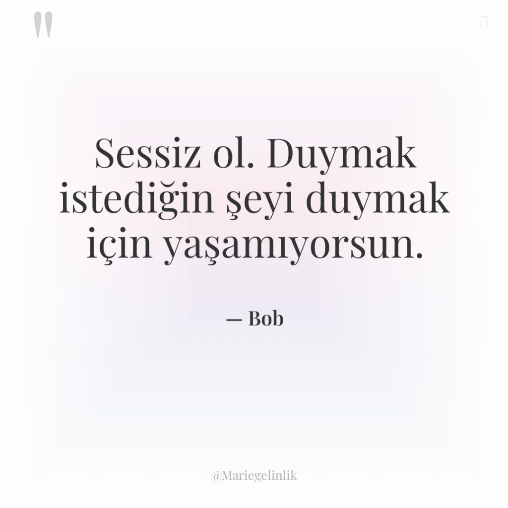 Sessiz ol. Duymak istediğin şeyi duymak için yaşamıyorsun.