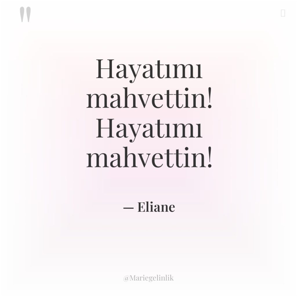 Hayatımı mahvettin! Hayatımı mahvettin!