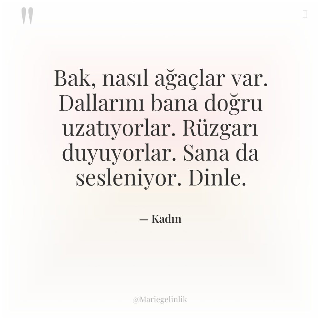 Bak, nasıl ağaçlar var. Dallarını bana doğru uzatıyorlar. Rüzgarı duyuyorlar….