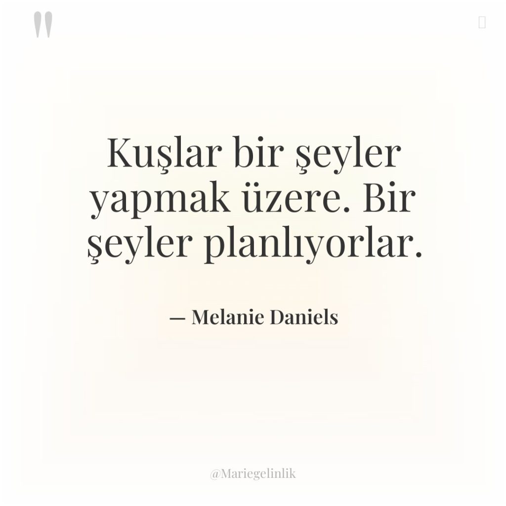 Kuşlar bir şeyler yapmak üzere. Bir şeyler planlıyorlar.