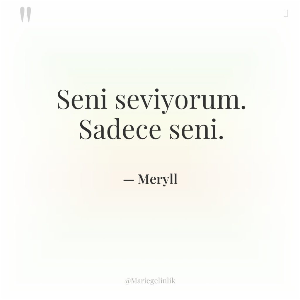 Seni seviyorum. Sadece seni.