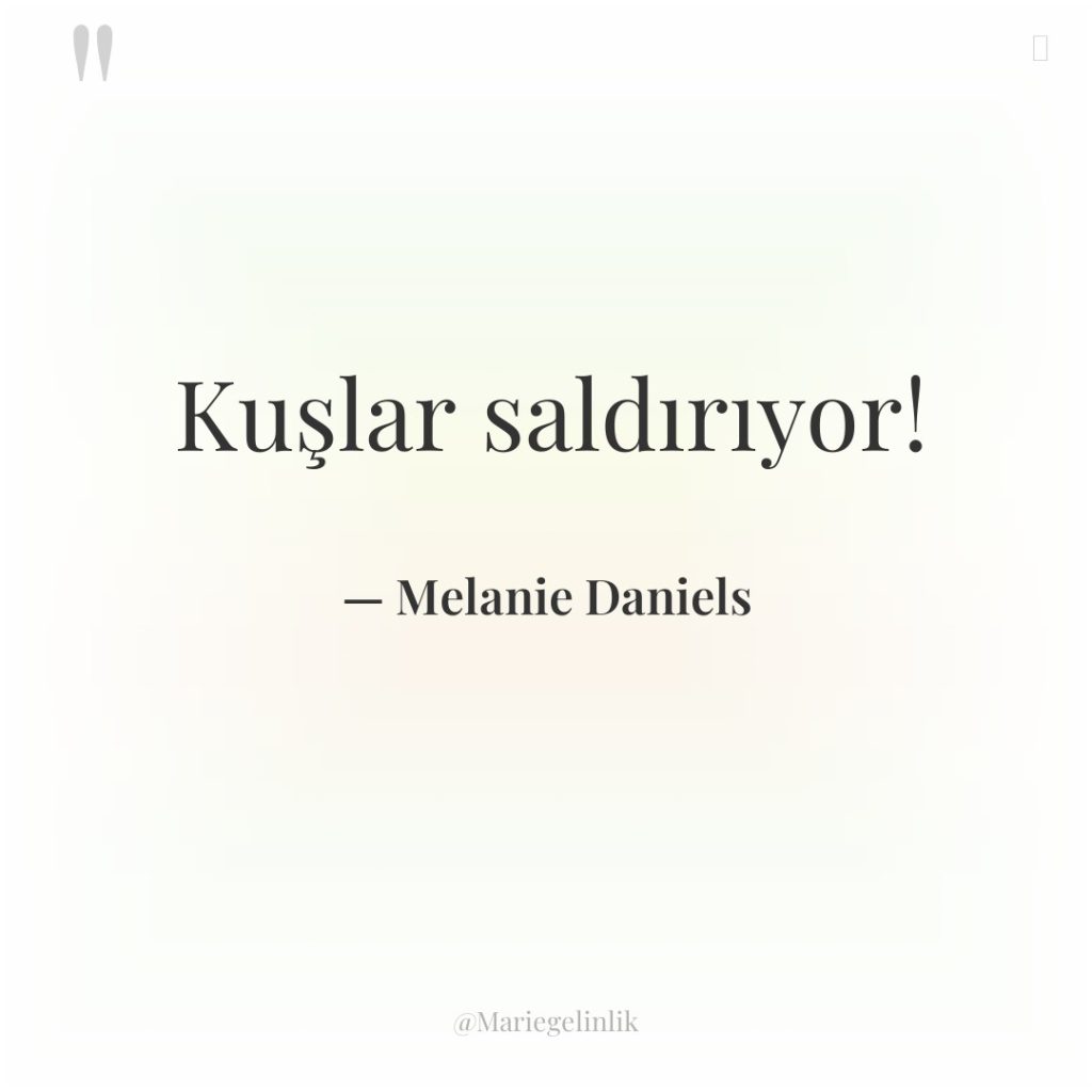 Kuşlar saldırıyor!