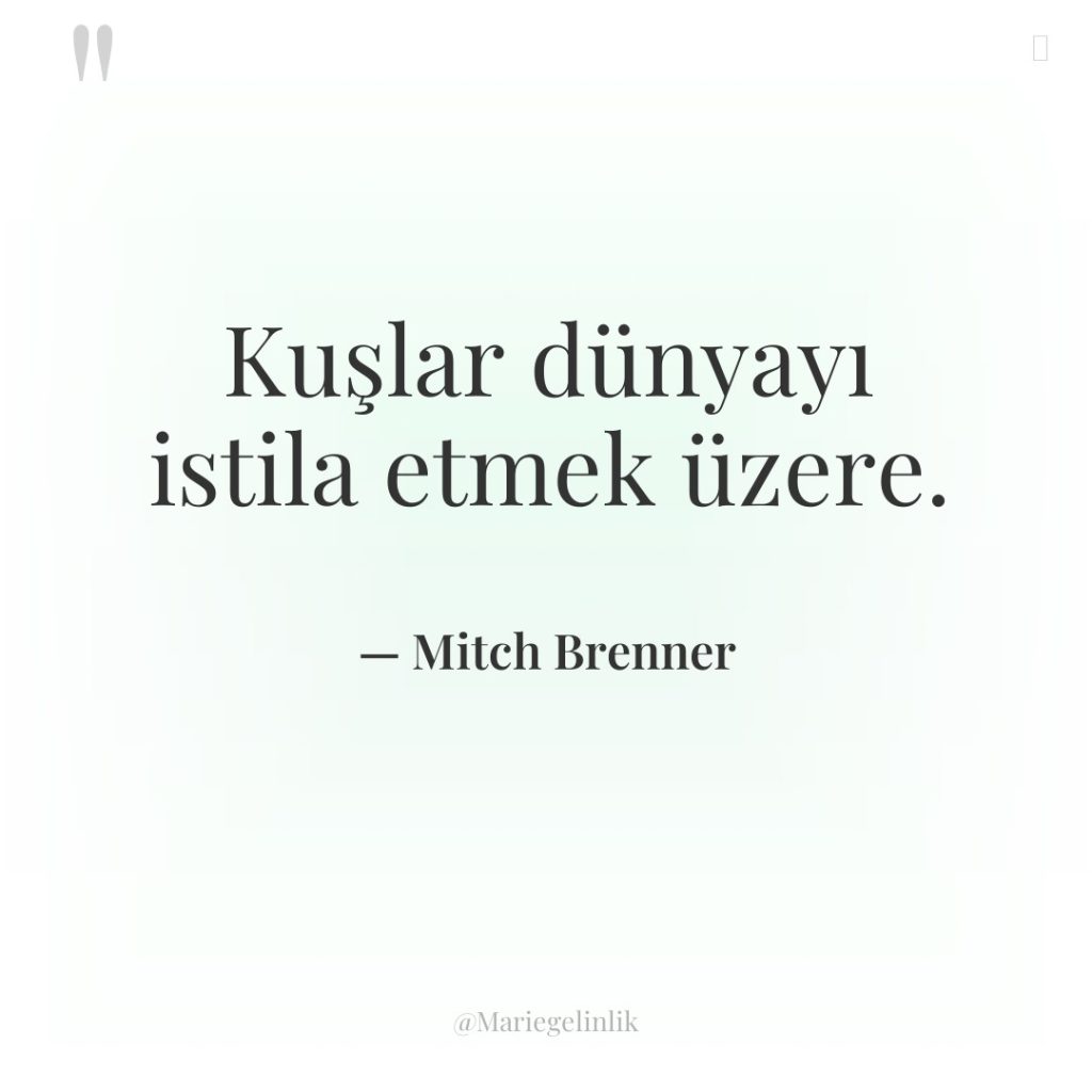 Kuşlar dünyayı istila etmek üzere.